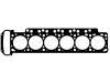 气缸垫 Cylinder Head Gasket:11 12 9 065 638