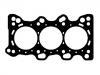 气缸垫 Cylinder Head Gasket:10112100