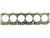 Cylinder Head Gasket Cylinder Head Gasket:1-11141-170-1