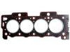 Cylinder Head Gasket Cylinder Head Gasket:0209.Y0