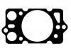 Cylinder Head Gasket Cylinder Head Gasket:60605900