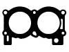 Cylinder Head Gasket Cylinder Head Gasket:8 811 994