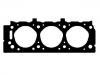Cylinder Head Gasket Cylinder Head Gasket:10110200