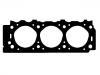 Cylinder Head Gasket Cylinder Head Gasket:10141500