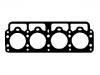 Cylinder Head Gasket Cylinder Head Gasket:419 688