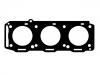 气缸垫 Cylinder Head Gasket:60569900