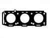 Cylinder Head Gasket:60584488