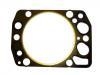 气缸垫 Cylinder Head Gasket:30-025059-10